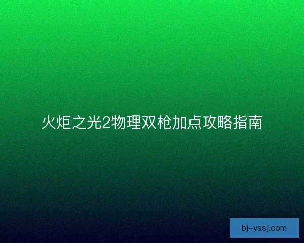 火炬之光2物理双枪加点攻略指南